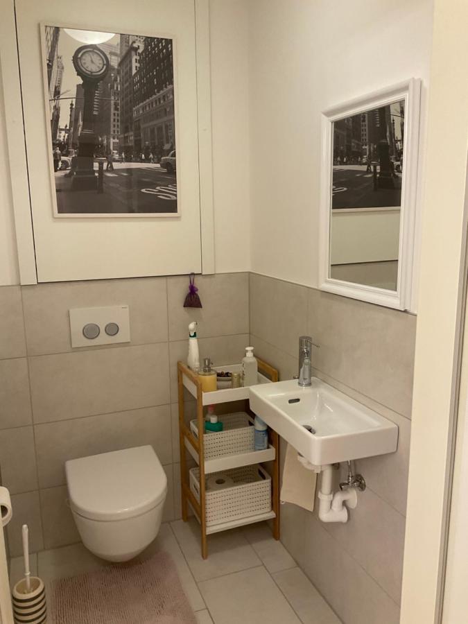 Ferienwohnung Danubia ลินซ์ ภายนอก รูปภาพ