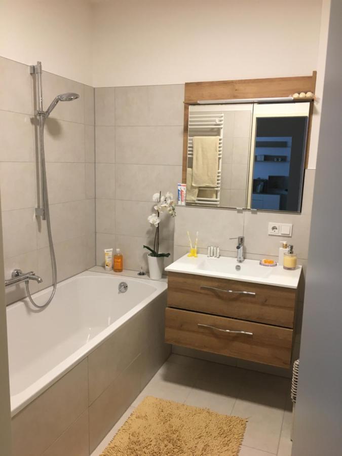 Ferienwohnung Danubia ลินซ์ ภายนอก รูปภาพ
